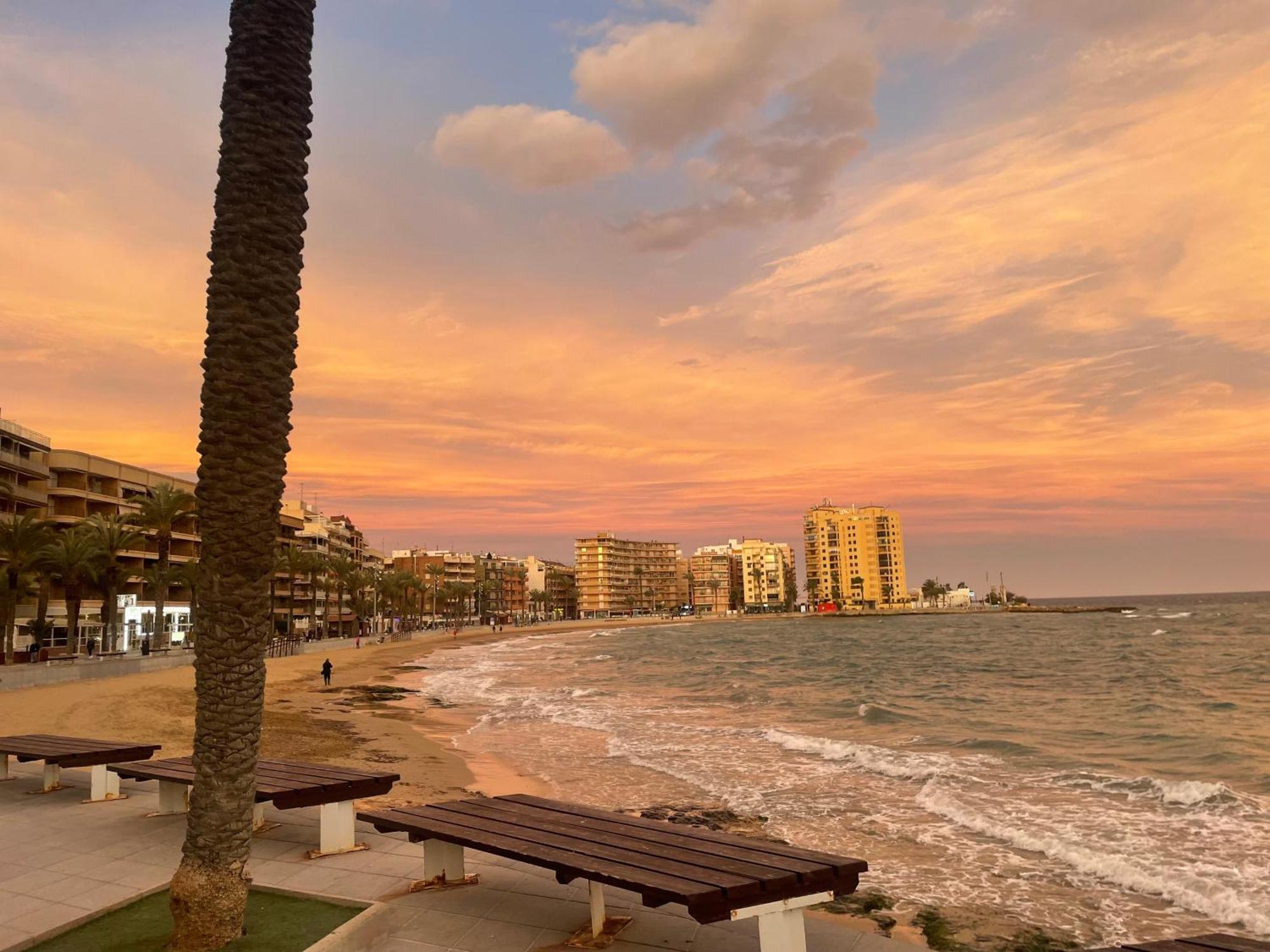 Flamenco Chill Apartment Torrevieja Eksteriør billede