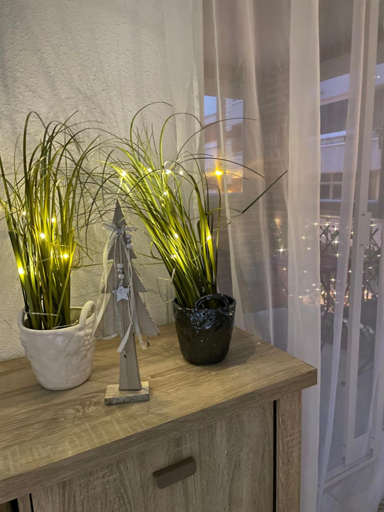 Flamenco Chill Apartment Torrevieja Eksteriør billede